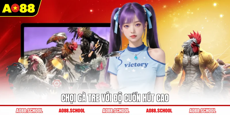 Chọi gà tre với độ cuốn hút cao Chọi gà tre với độ cuốn hút cao