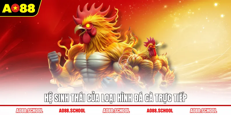 Hệ sinh thái của loại hình đá gà trực tiếp Hệ sinh thái của loại hình đá gà trực tiếp